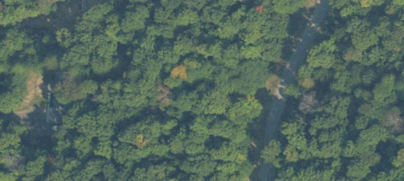 Cleared Private Wooded Home Site