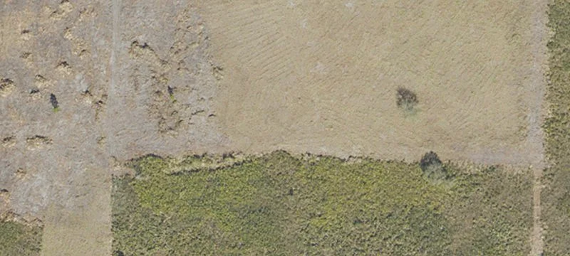 Cleared Agricultural-Residential Land