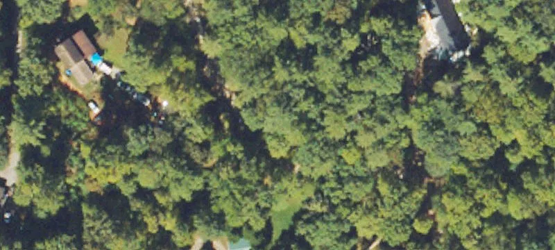 Wooded Mountain Homesite Land