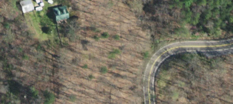 Wooded Land with Existing Cabins