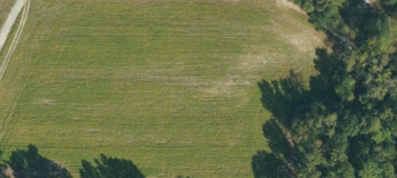 Landlocked Undeveloped Land