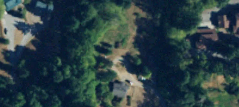 Wooded Estate and Development Land