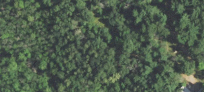 Hardwood Residential Land Lot