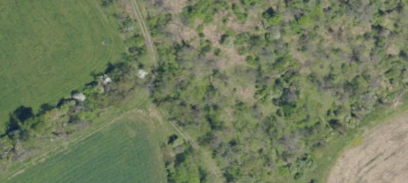 Rural Multi-Use Acreage Tract