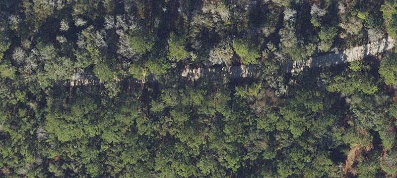 Timber and Hunting Land Tract