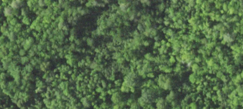 Wooded Recreational Land Parcel