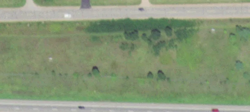 Commercial Land Build Site