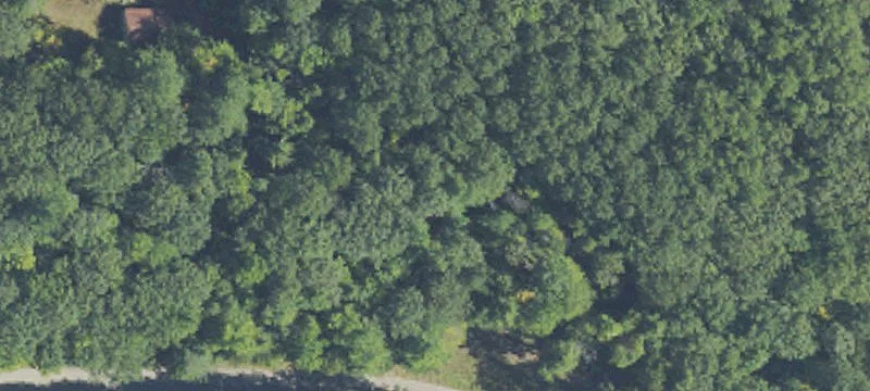Wooded Waterfront Building Site