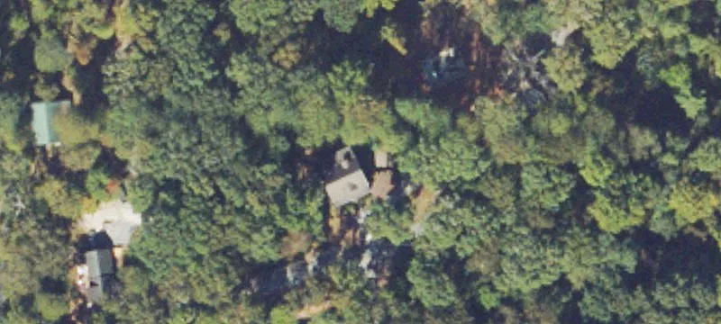 Wooded Buildable Resort Lot