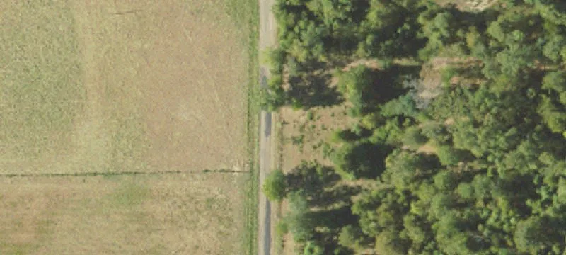 Timberland and Recreation Tract