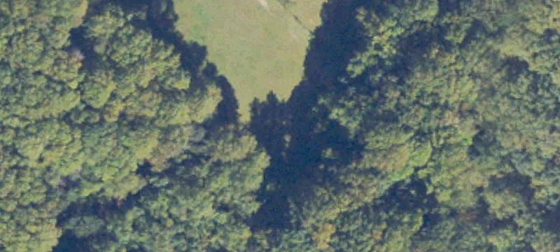 Horse Property with Log Home