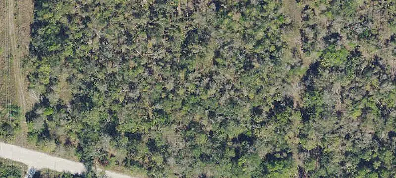 Irregular Acreage Parcel with Road Access