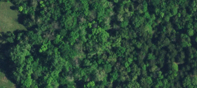 Unrestricted Land with Road Access