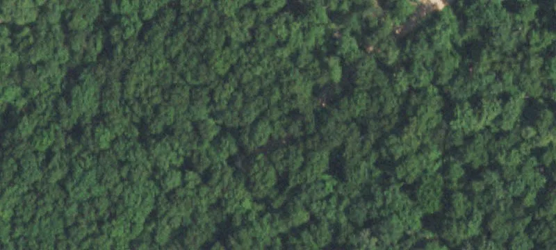 Wooded Residential Land Parcel