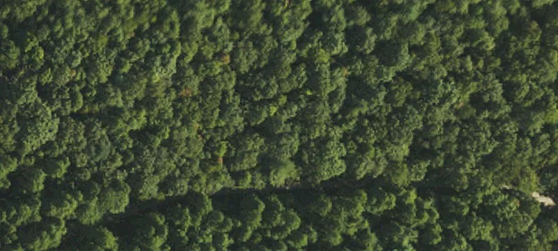 Buildable Mountain Land Lot