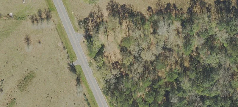 Wooded Agricultural Land with Creek