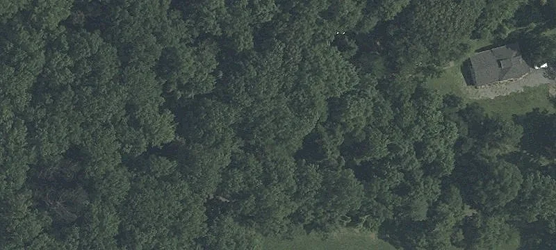 Wooded Residential Lot Package