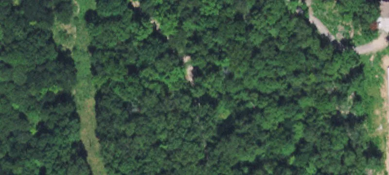 Wooded Hunting and Recreation Land