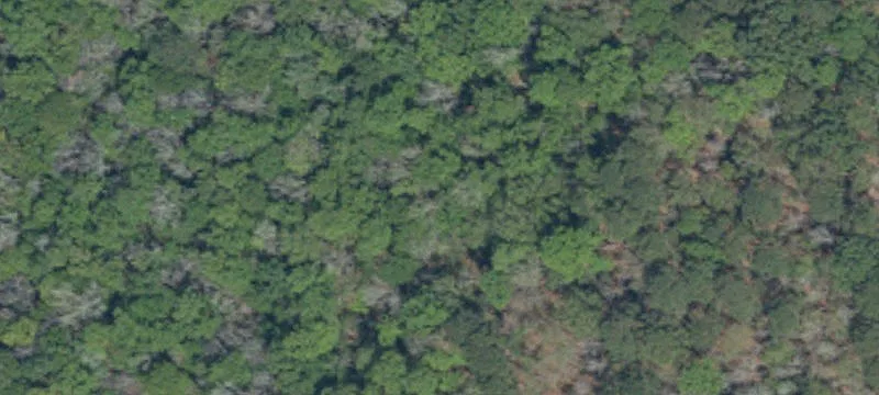 Pad-Ready Commercial Land Sites