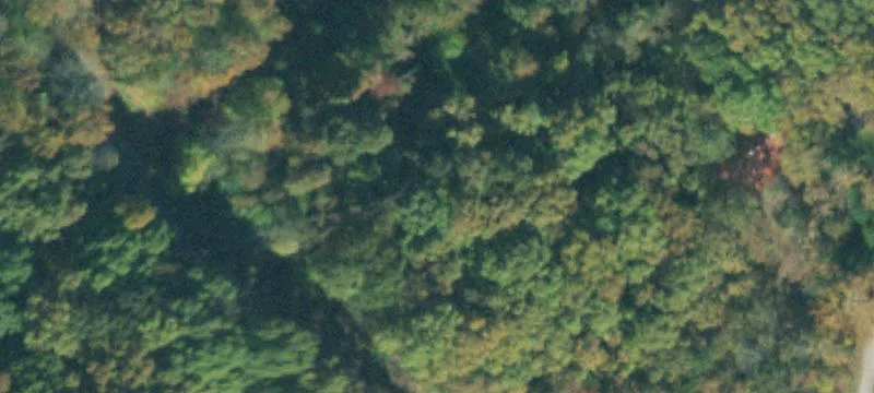 Wooded Lot in Gated Community