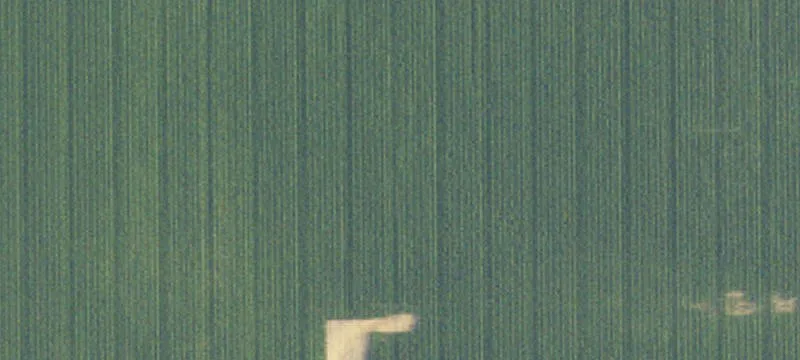 Estate-Size Residential Land Lot