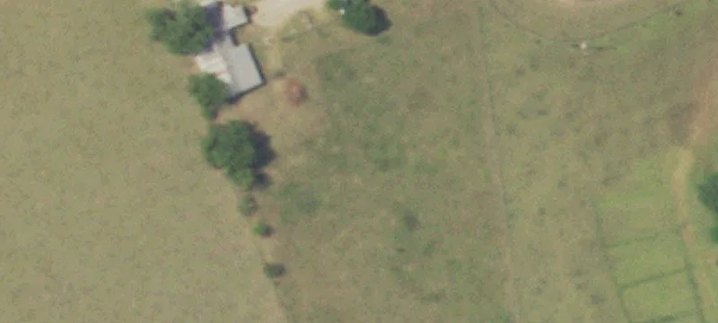 Ranch Home with Barn Stables