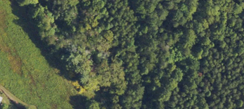 Acreage with Pond and Timber
