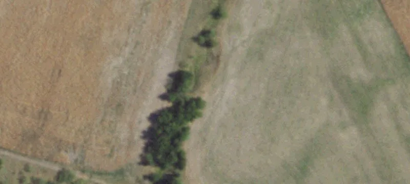 4-Acre Homesite with Agricultural Potential