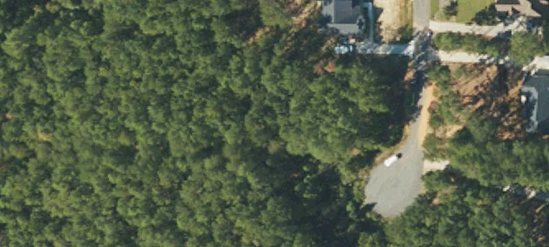 Wooded Residential Homesite