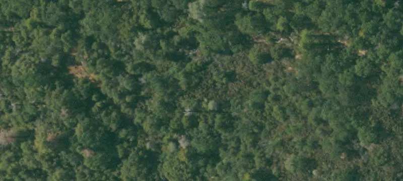 Residential Land in Sierra Foothills