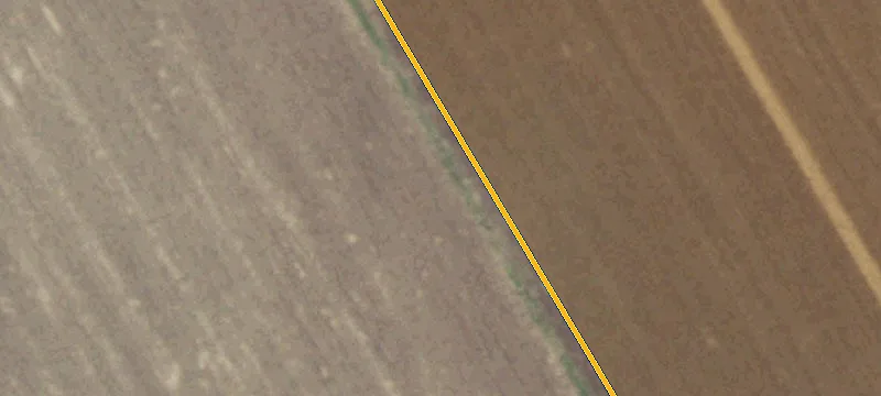 Acreage Tract with Mature Trees