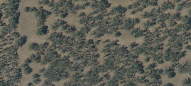 Gated Equestrian Community Land Parcel