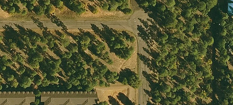 Wooded Homesite in Custom Home Area