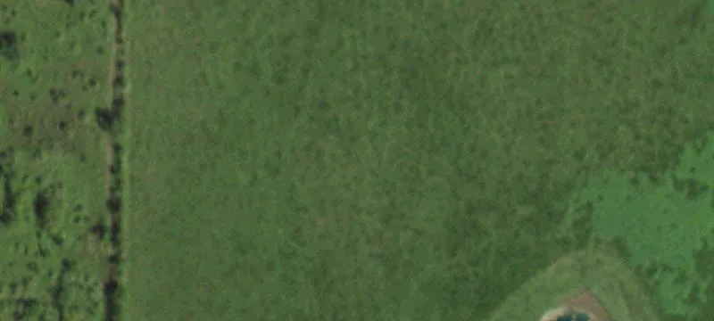 Rural Homestead and Shop Acreage