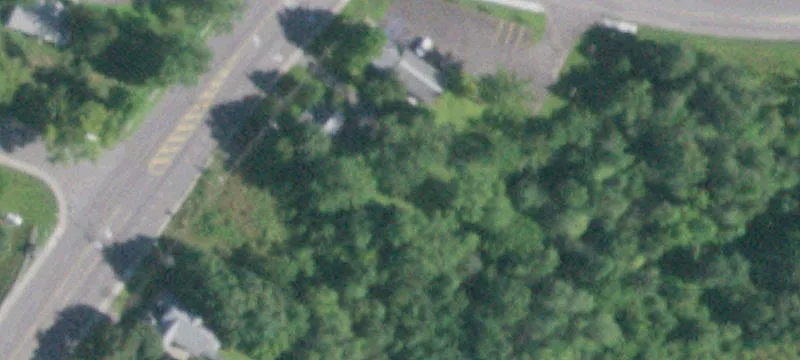 Vacant Wooded Land Parcel