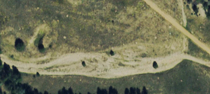 Wooded Mountain Land with Driveway