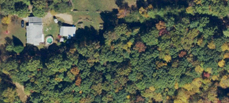 Wooded Hunting and Homesite Land