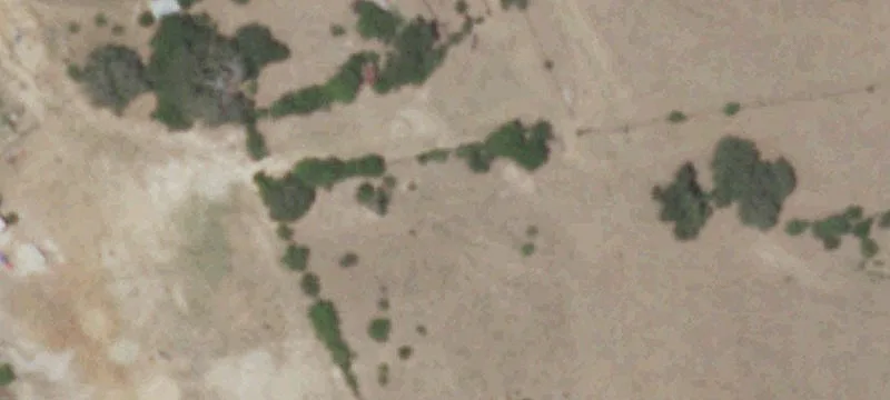 Ag-Exempt Ranch with Livestock Facilities