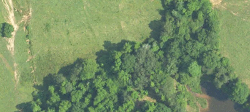 Hunting and Farming Land