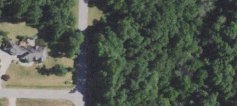 Wooded Residential Homesite with Trails