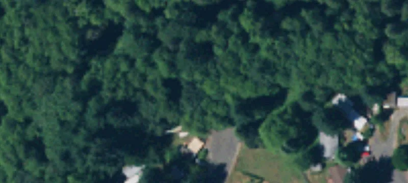 Cleared Agricultural Land Lot