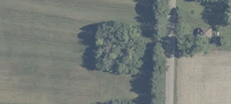 Rural Building Lot with Mature Trees