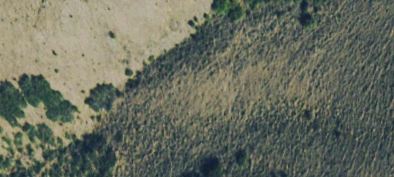 Recreational Hunting Land Parcel