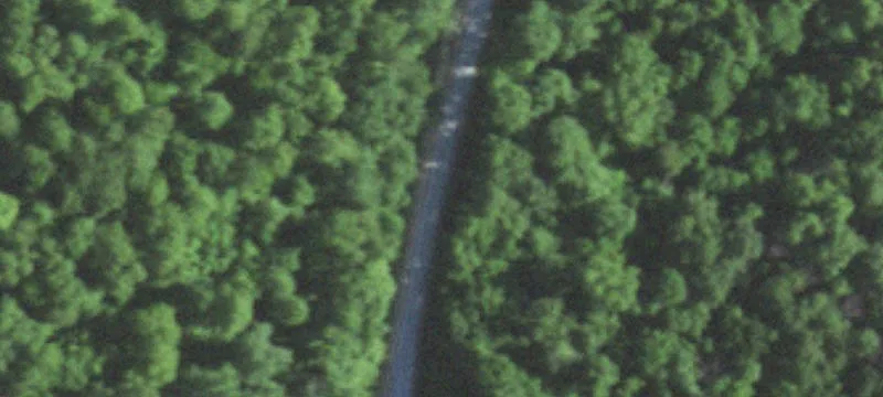 Wooded Recreational Land Parcel