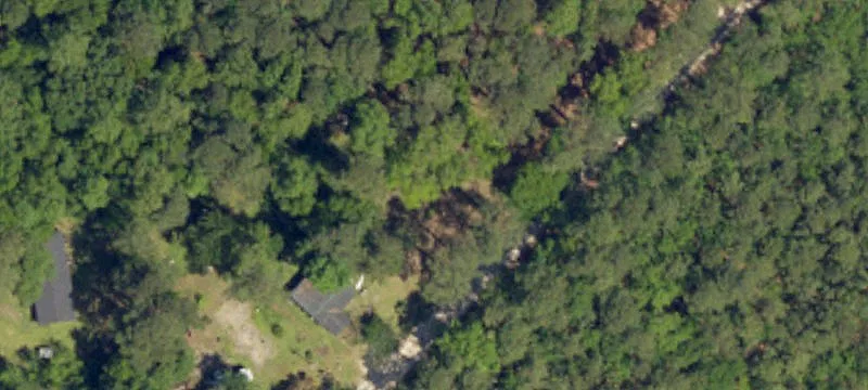 Forest-Adjacent Homesite Land