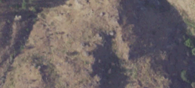 Homesite with Private Trail Access