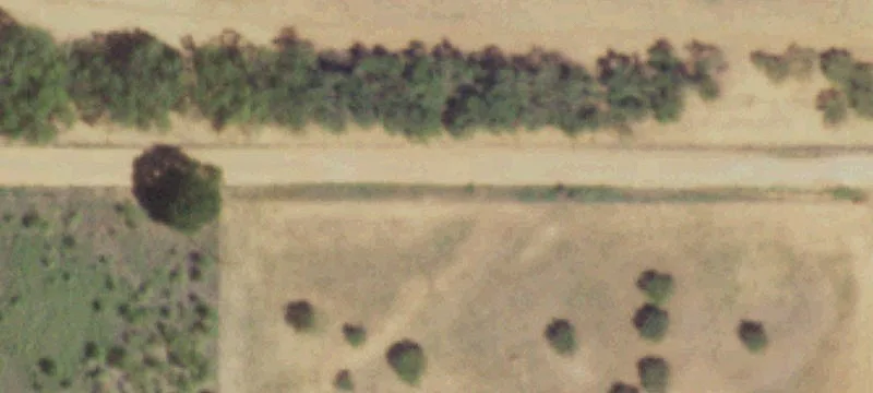Rural Multi-Improvement Acreage