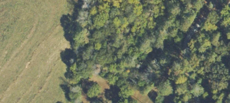Partially Cleared Homesite Land