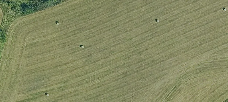 Agricultural Land with Pond and Pasture