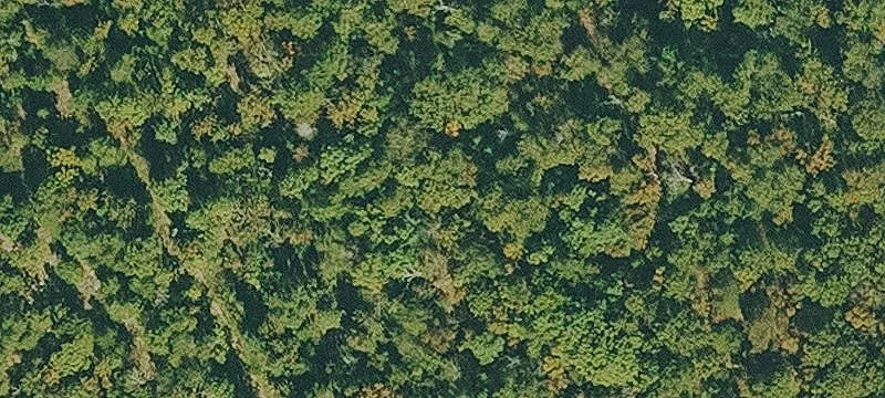 Rural Hunting Land with Cabin